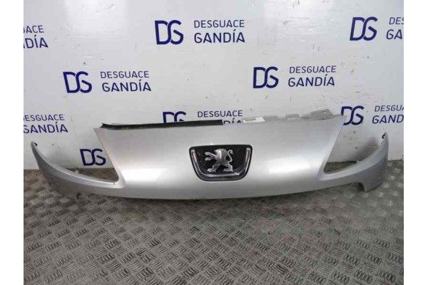 Rejilla delantera