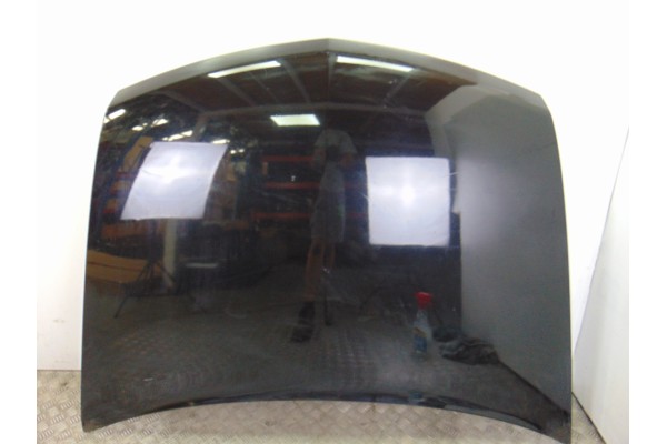 Capo, Renault Vel Satis (BJ0) Initiale 2005