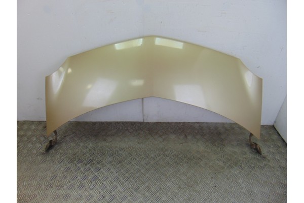 Capo, Renault Modus I Pack Authentique 2005, ORO