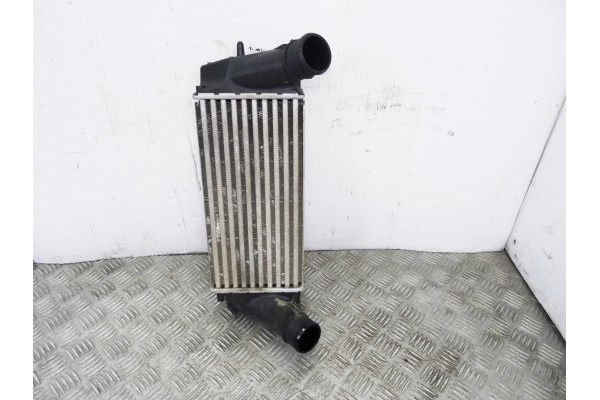 Intercooler, Ford Fiesta (Cnn) Trend 2014, C1B19L440AB