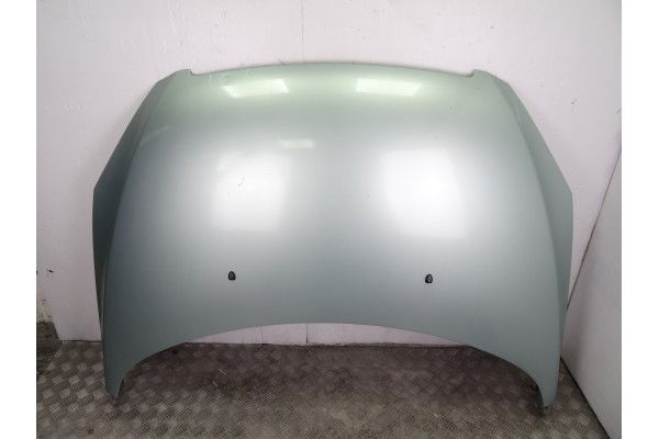 Capo, Peugeot 307 Break / Sw (S1)(04.2002) Sw Pack 2003