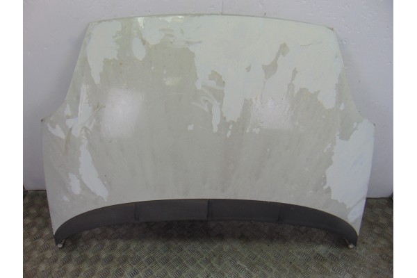 Capo, Fiat Iii Evo Punto (199) Dynamic 2011