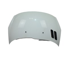 Capo, Peugeot 206 + Básico 2010