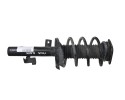 Amortiguador delantero derecho, Ford Focus Berlina (Cap) Trend 2005