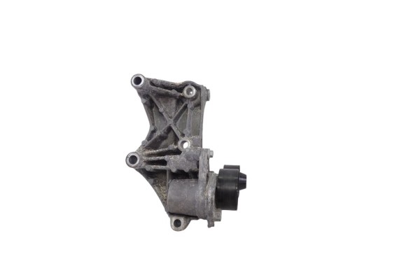 Tensor correa auxiliar, Nissan X-trail (T32) Tekna 2018, 117105124R