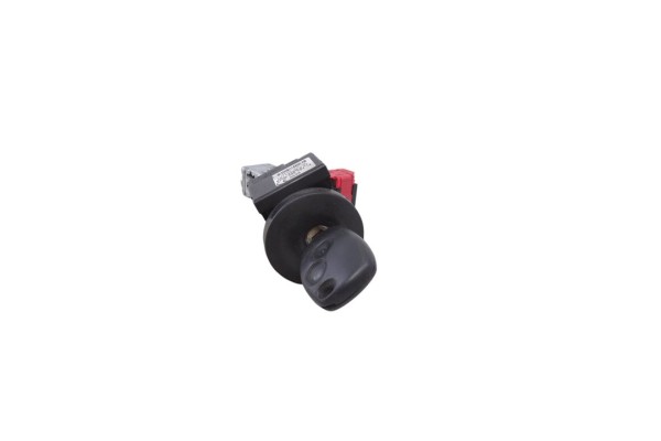 Antirrobo / llave contacto, Renault Kangoo Ii (F/KW0) Profesional 2015, 8200405701F