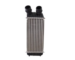 Intercooler, Fiat Ii Scudo (272) Combi L1H1 90 Multijet (5 pl.) 2010, 1498987080