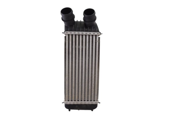 Intercooler, Fiat Ii Scudo (272) Combi L1H1 90 Multijet (5 pl.) 2010, 1498987080