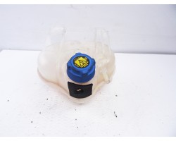 Deposito expansion, Abarth Punto Evo (199) Basis 2011