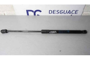 Amortiguadores capo, Bmw Serie X5 (E70) xDrive30d 2007, 7148346