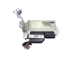Centralita motor uce, Hyundai Getz (Tb) 1.1 Básico 2004, 3911002420
