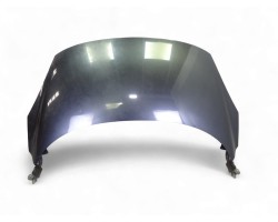 Capo, Renault Scenic Iii (Jz) Dynamique 2010