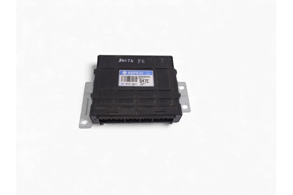 Centralita motor uce, Hyundai Santa Fe (Sm) 2.4 Gls 2004, 3912138411