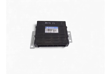 Centralita motor uce, Hyundai Santa Fe (Sm) 2.4 Gls 2004, 3912138411