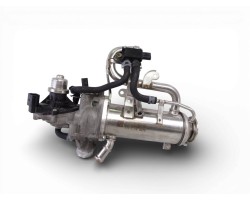Enfriador egr, FW939Y493AD