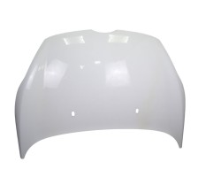 Capo, Ford Fiesta (CB1) Ambiente 2010