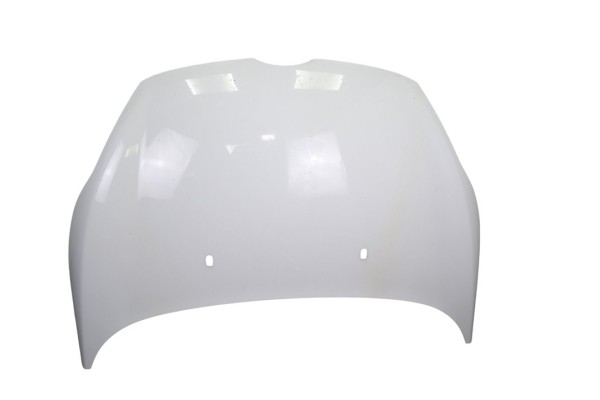 Capo, Ford Fiesta (CB1) Ambiente 2010