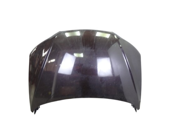 Capo, Hyundai Santa Fe (Cm) 2.2 CRDi Comfort 4X4 2009