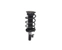 Amortiguador delantero derecho, Ford Focus Berlina (Cap) Sport 2007