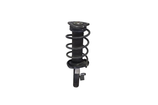 Amortiguador delantero derecho, Ford Focus Berlina (Cap) Sport 2007