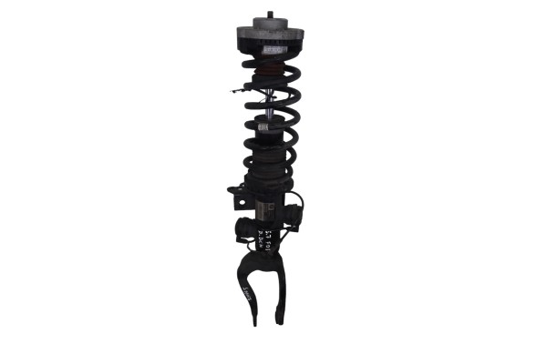Amortiguador delantero derecho, Bmw Serie 7 (F01/F02) 740d xDrive 2011, 6796940