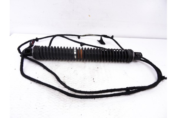 Amortiguadores maletero / porton, Bmw Serie 7 (F01/F02) 740d xDrive 2011, 7185713