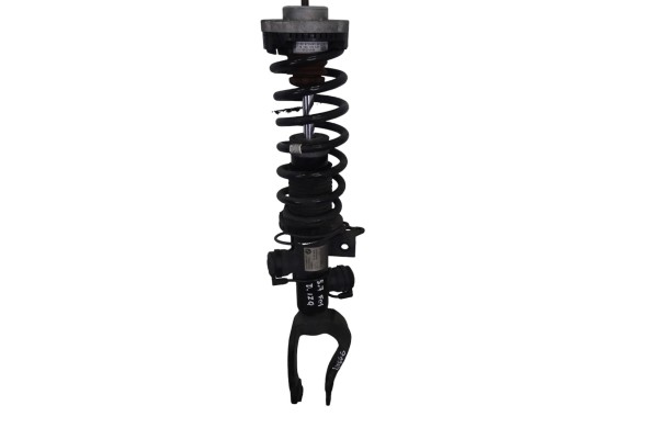 Amortiguador delantero izquierdo, Bmw Serie 7 (F01/F02) 740d xDrive 2011, 6796939