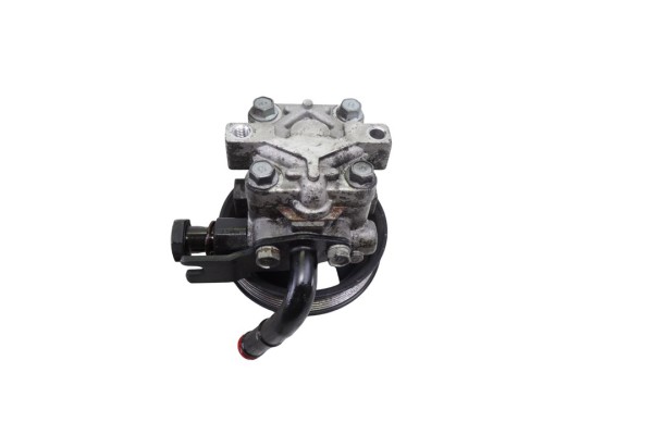 Bomba direccion, Hyundai Santa Fe (Cm) 2.2 CRDi Comfort 4X4 2009