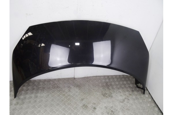 Capo, Renault Scenic Ii (Jm) Confort Dynamique 2007