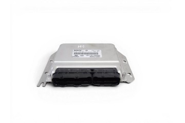 Centralita motor uce, Hyundai H-1 Starex () 2.5 Crdi 2005, 391104A000