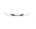 Rejilla delantera, Nissan Kubistar (X76) Premium (L1) 2008, 8200186288