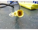 Airbag lateral derecho, Toyota Corolla Verso (R1) 2.2 D-4D Sol 2007, 73910-05040