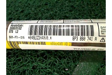 Airbag cortina delantero izquierdo, Audi A3 (8P1) 1.6 Ambiente 2006, 8P3880741A