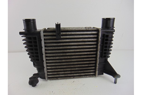Intercooler, Nissan NV200 /Evalia (M20/M) Kombi Comfort 2010, 144619U20A