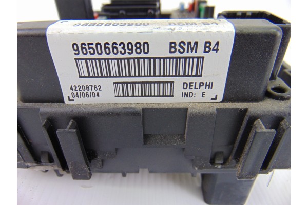 Caja reles / fusibles, Peugeot 206 Xt 2004, 9650663980