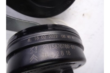 Claxon, Peugeot 308 (P5) Active Pack 2022, 9815870780
