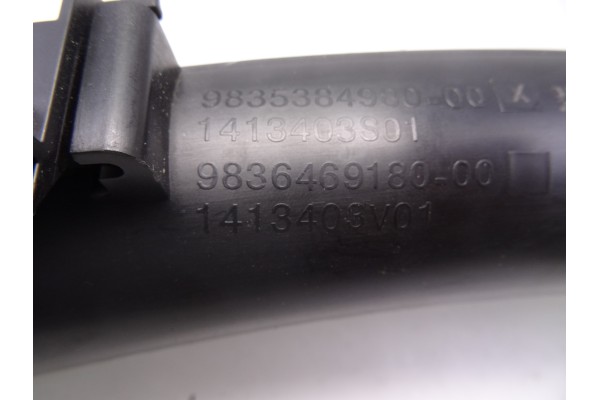 Tubo, Peugeot 308 (P5) Active Pack 2022, 9835384980