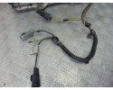 Electroventilador, Citroen Berlingo 1.9 D 600 Furg. 2006