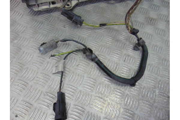 Electroventilador, Citroen Berlingo 1.9 D 600 Furg. 2006