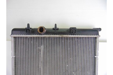 Radiador agua, Peugeot 207 Sw Confort 2011