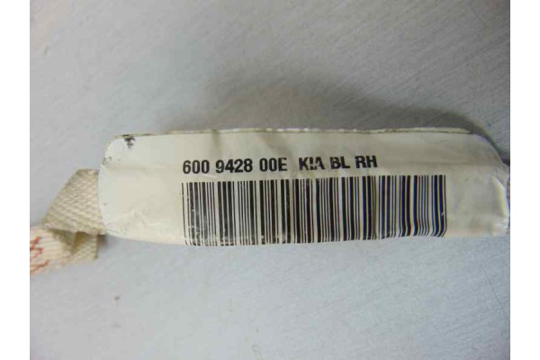 Airbag cortina delantero derecho, 600942800E