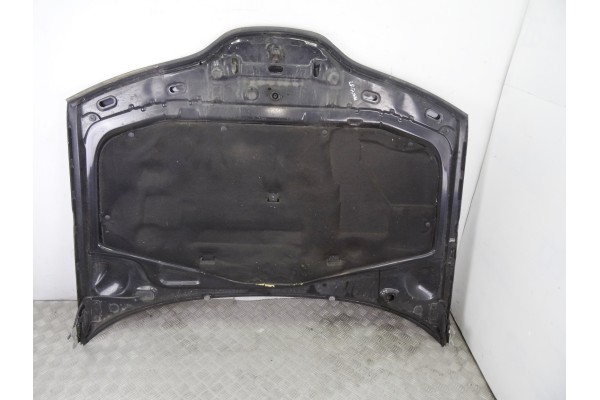 Capo, Renault Laguna Ii Grandtour (KG0) Dynamique 2004