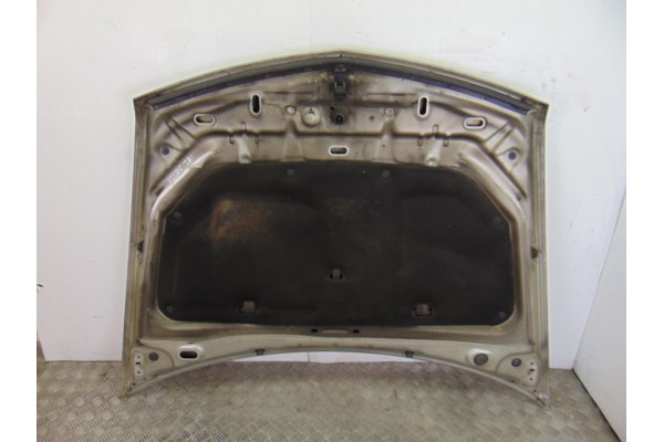 Capo, Renault Vel Satis (BJ0) Initiale 2005