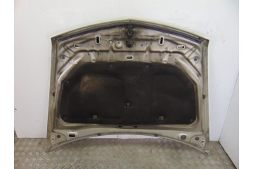 Capo, Renault Vel Satis (BJ0) Initiale 2005