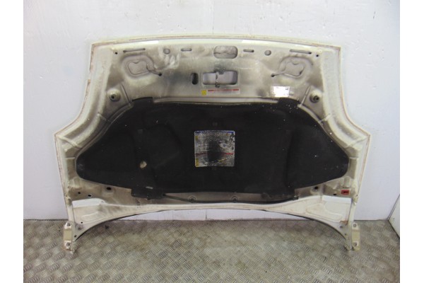Capo, Fiat Iii Evo Punto (199) Dynamic 2011