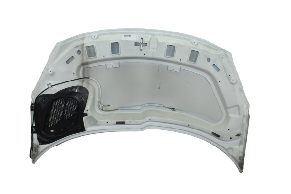Capo, Peugeot 206 + Básico 2010