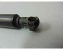 Amortiguadores maletero / porton, Bmw Serie 3 Compacto (E46) 320td 2002, 7069907