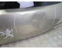 Porton trasero, Peugeot 3008 Confort 2009