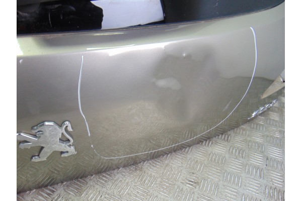 Porton trasero, Peugeot 3008 Confort 2009