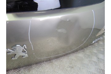 Porton trasero, Peugeot 3008 Confort 2009